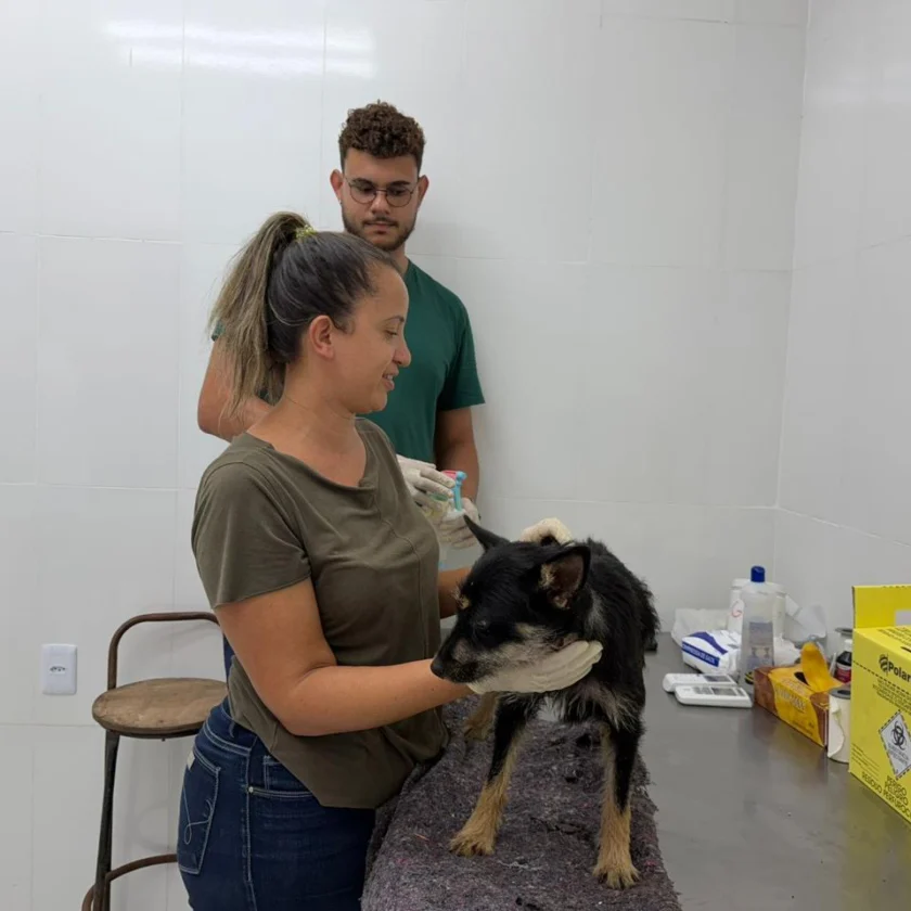 Mariana é referência em política pública de proteção animal