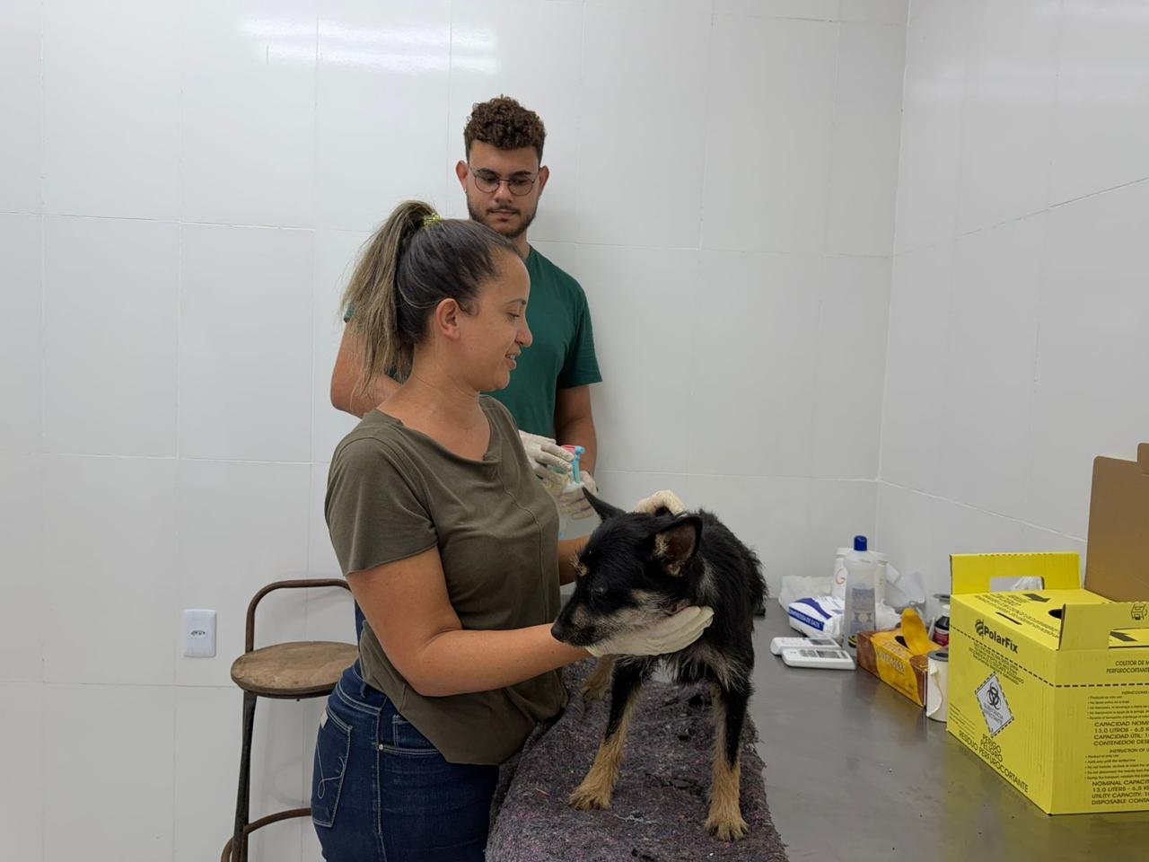 Mariana é referência em política pública de proteção animal