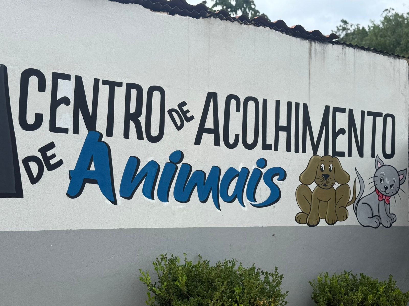 Portal reconhece erro e corrige informação sobre canil atribuído a Mariana