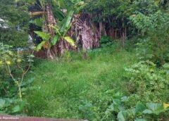 Mais de 4 mil lotes irregulares são alvo de fiscalização em Lafaiete