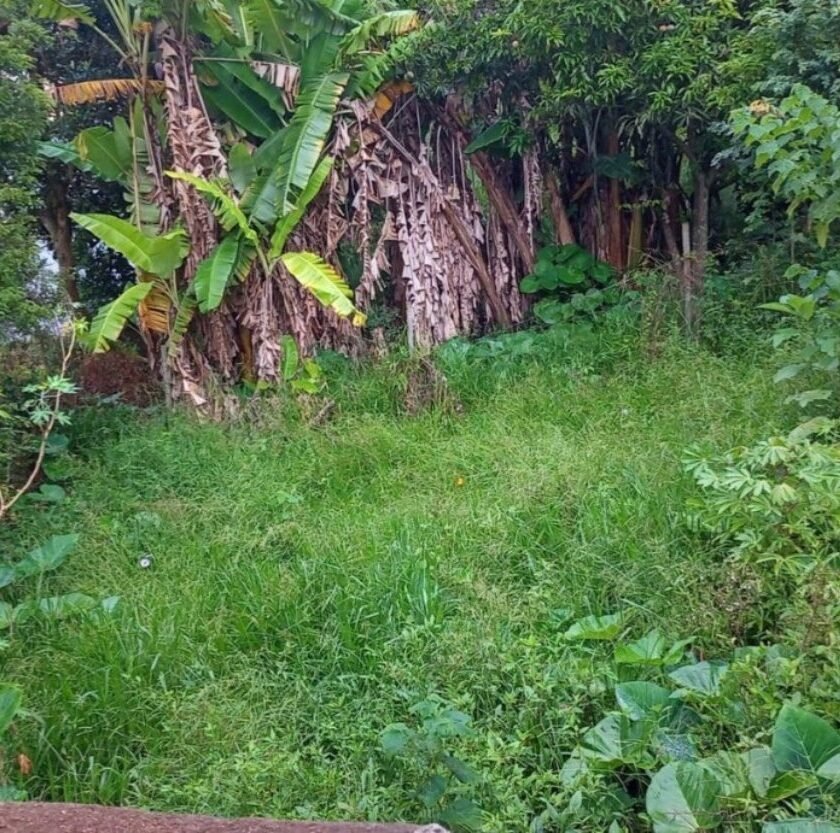 Mais de 4 mil lotes irregulares são alvo de fiscalização em Lafaiete