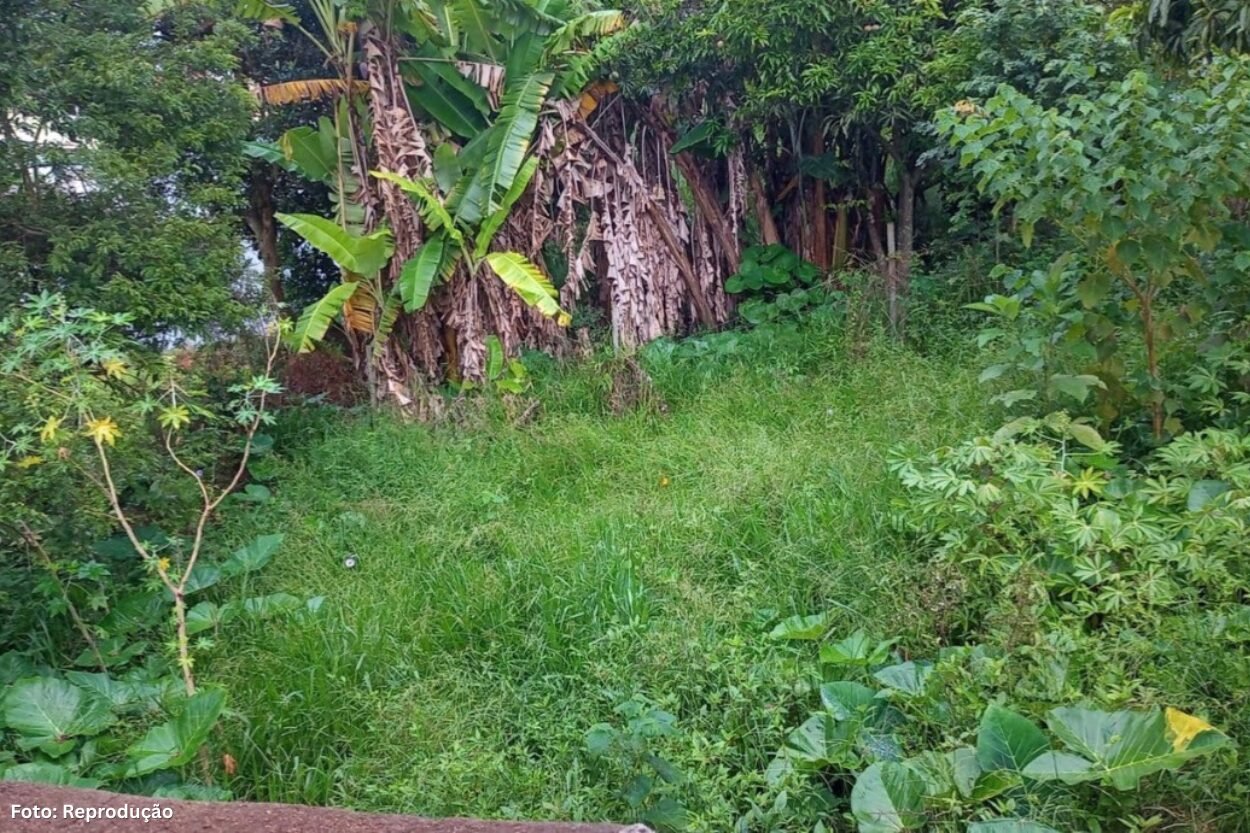 Mais de 4 mil lotes irregulares são alvo de fiscalização em Lafaiete