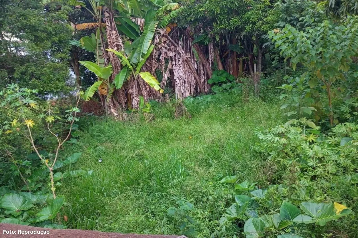 Mais de 4 mil lotes irregulares são alvo de fiscalização em Lafaiete