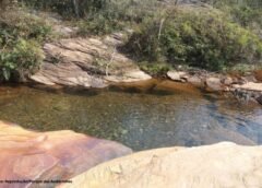 Quer mergulhar? Análises revelam qualidade da água nas cachoeiras do Parque das Andorinhas