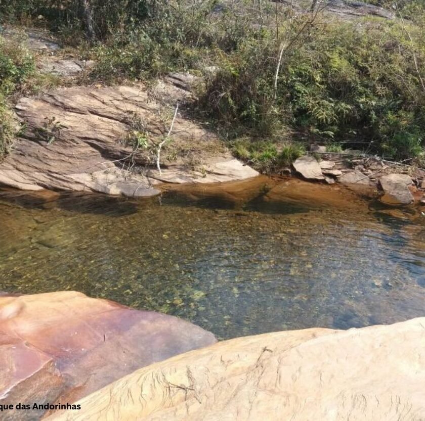 Quer mergulhar? Análises revelam qualidade da água nas cachoeiras do Parque das Andorinhas