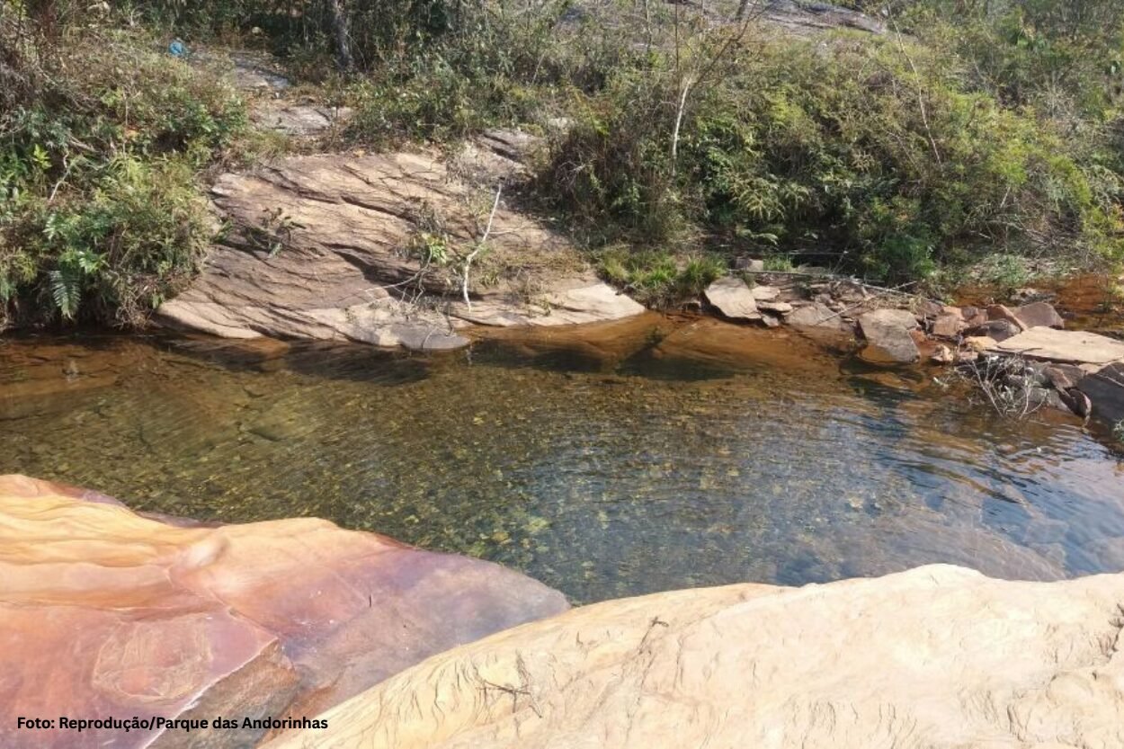 Quer mergulhar? Análises revelam qualidade da água nas cachoeiras do Parque das Andorinhas