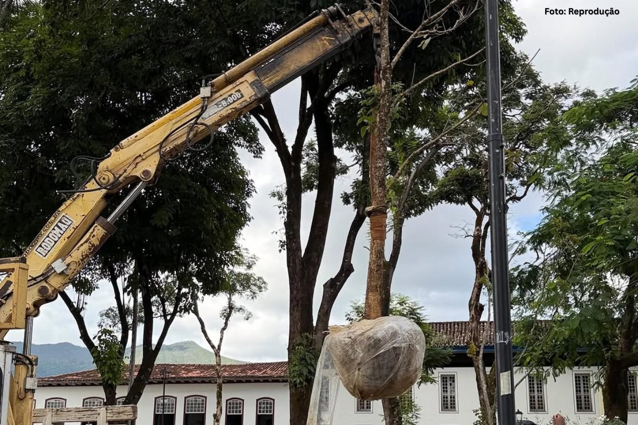 Jardim de Mariana recebe plantio de dois novos ipês