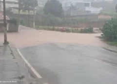 Chuva forte provoca alagamentos e derruba árvores em Ouro Branco