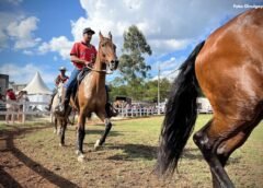 ExpoOuro 2026 promove Poeirão com grandes premiações no Clube do Cavalo