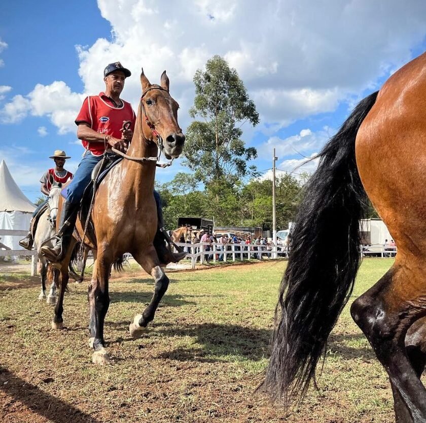 ExpoOuro 2026 promove Poeirão com grandes premiações no Clube do Cavalo