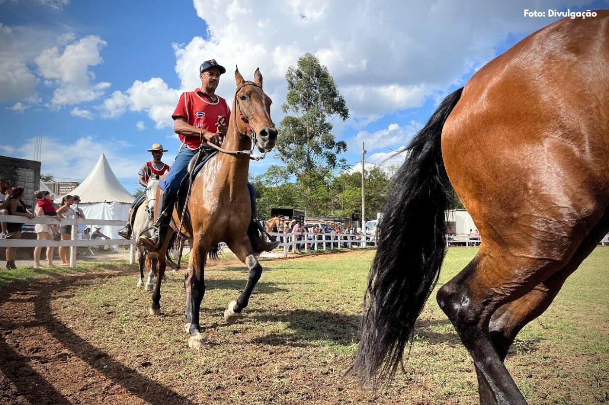 ExpoOuro 2026 promove Poeirão com grandes premiações no Clube do Cavalo