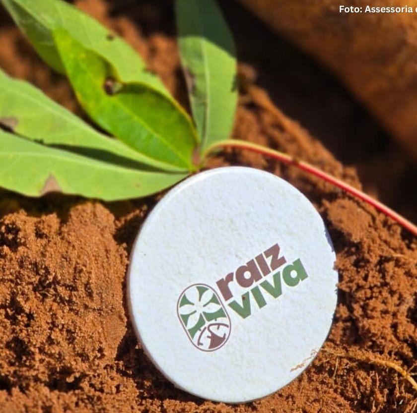 Mandioca ganha espaço estratégico na mineração em MG