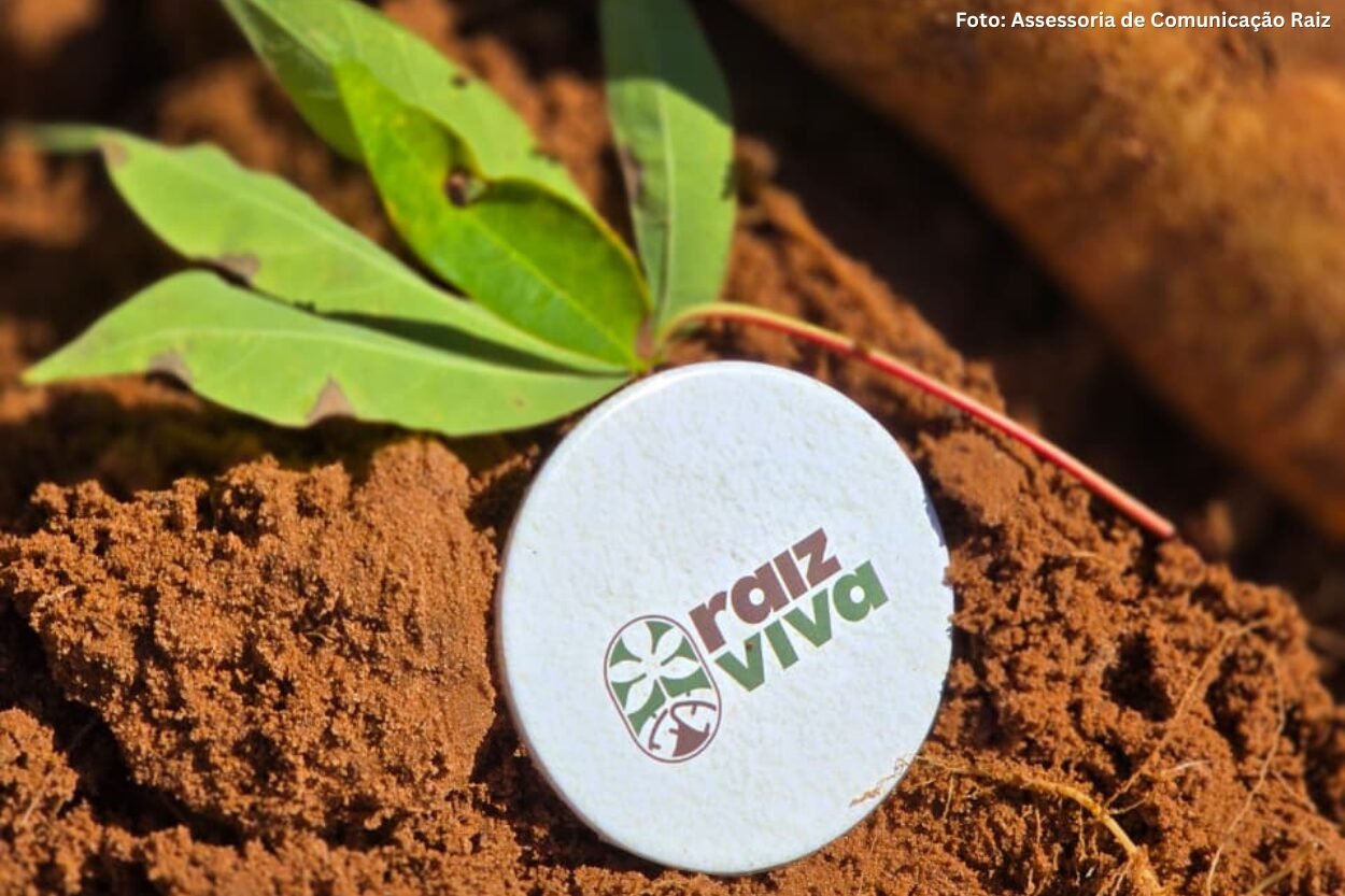 Mandioca ganha espaço estratégico na mineração em MG