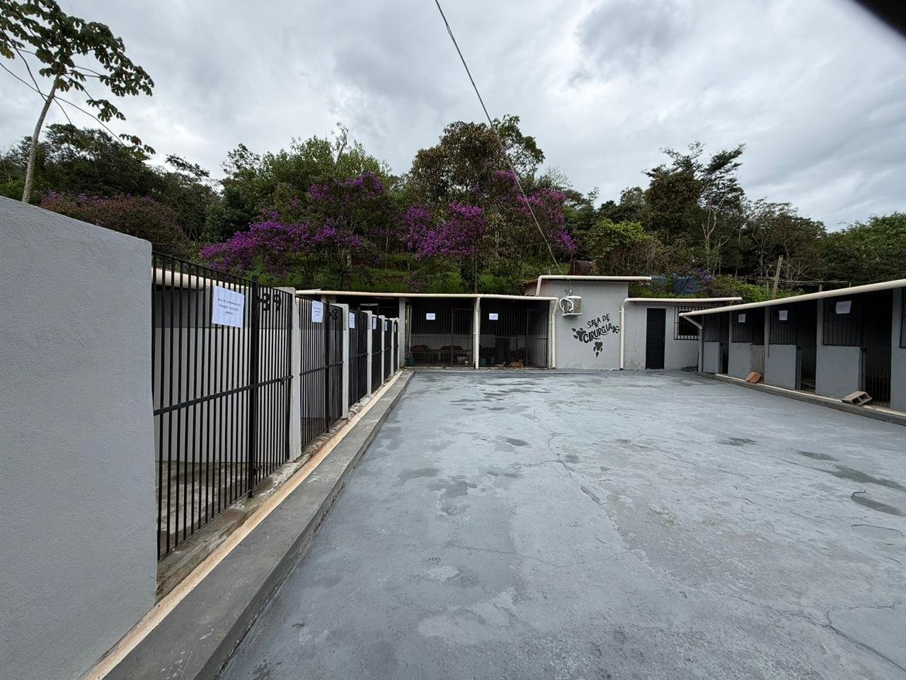 Presidente da Comissão de Defesa dos Animais defende prisão e punição rigorosa para abandono em Mariana durante entrega do CAA