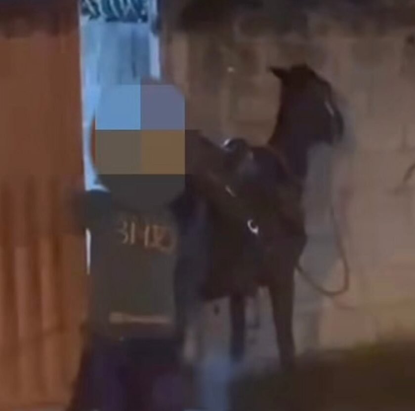 Homem é preso por maus-tratos a animal em Monsenhor Horta, distrito de Mariana