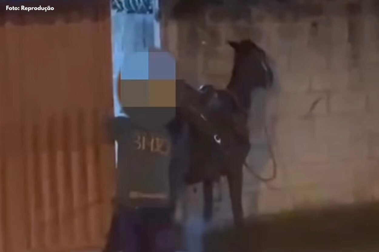 Homem é preso por maus-tratos a animal em Monsenhor Horta, distrito de Mariana
