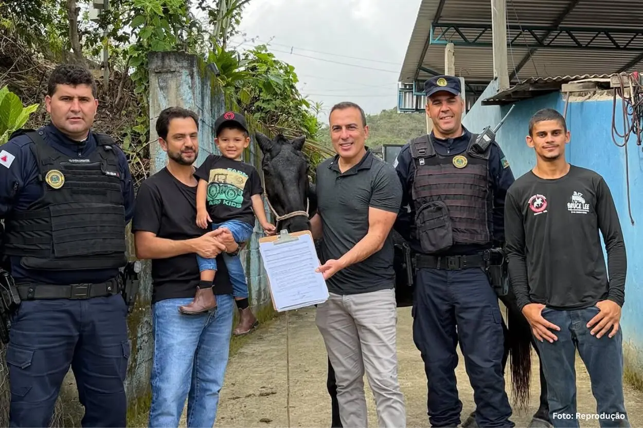 Após caso de maus-tratos, égua resgatada em Mariana terá nova tutela com deputado