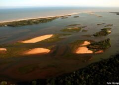 Garimpeiros decidem sobre acordo do Rio Doce