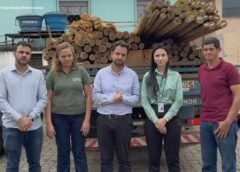 Projeto de estufas vai beneficiar 30 produtores rurais em Mariana