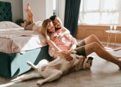 Cidades do Circuito do Ouro em Minas Gerais receberão treinamento gratuito sobre Turismo Pet Friendly