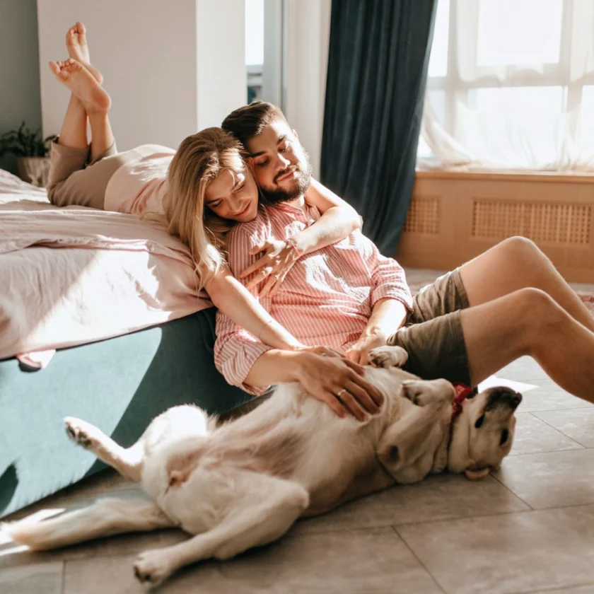 Cidades do Circuito do Ouro em Minas Gerais receberão treinamento gratuito sobre Turismo Pet Friendly