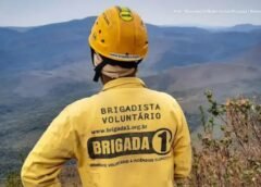Inscrições abertas para brigadistas florestais voluntários em Ouro Preto e outras cidades mineiras