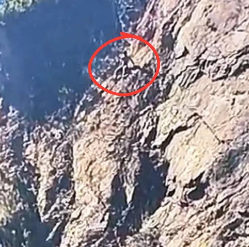 Homem suspeito de furtar farmácia foge por encosta do Morro da Forca em Ouro Preto 