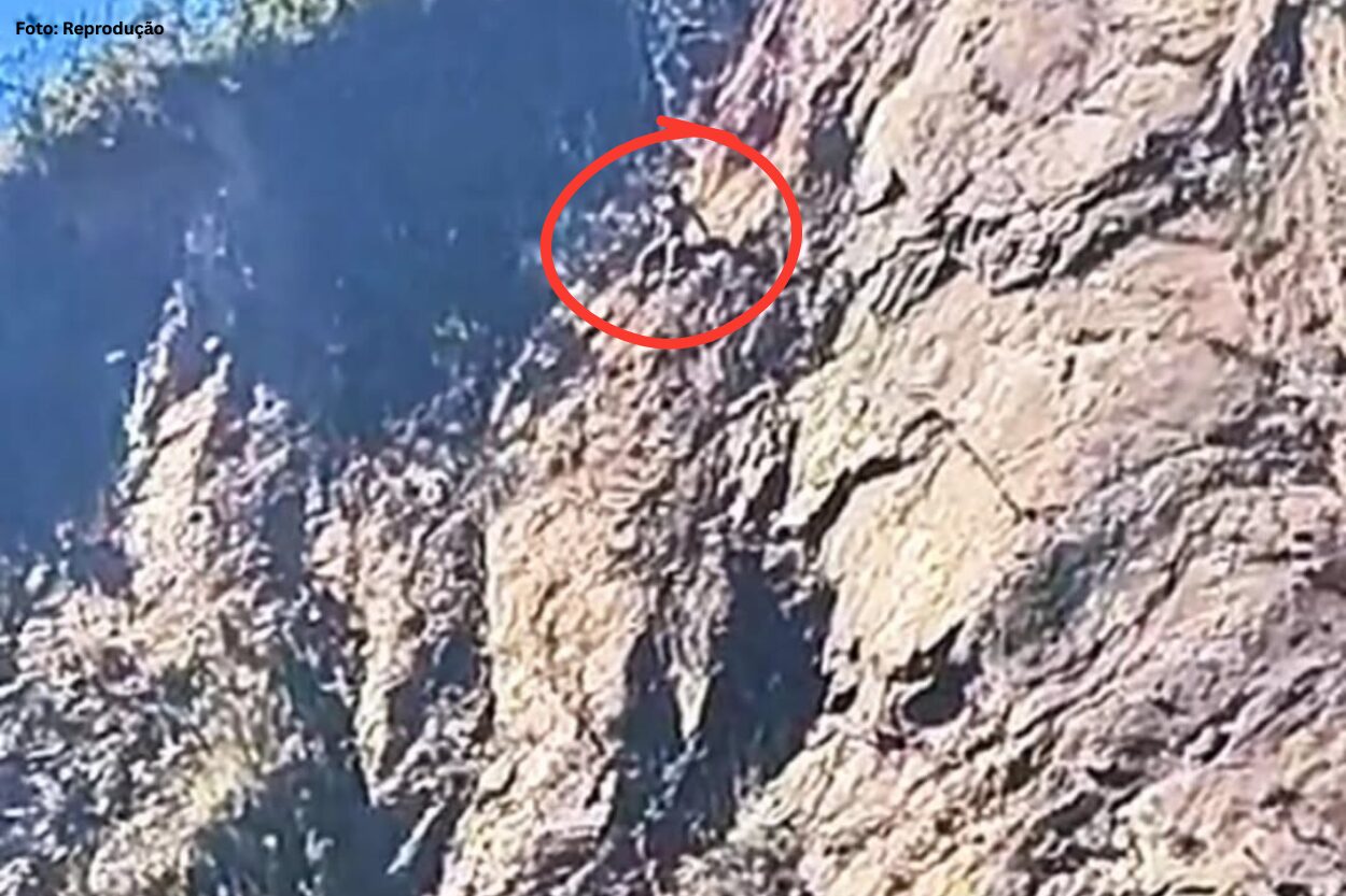 Homem suspeito de furtar farmácia foge por encosta do Morro da Forca em Ouro Preto 
