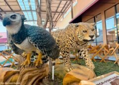 Smart Zoo será atração do Festival de Inverno e do aniversário de Mariana