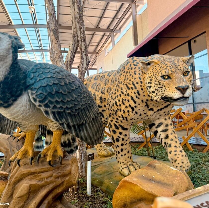 Smart Zoo será atração do Festival de Inverno e do aniversário de Mariana