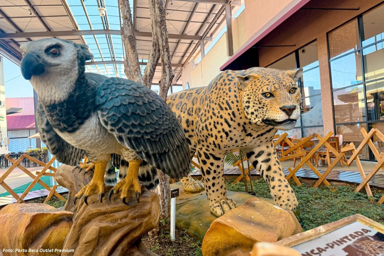 Smart Zoo será atração do Festival de Inverno e do aniversário de Mariana