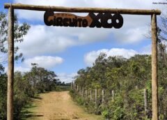 Projeto Andorinhas em Movimento entrega melhorias para esporte, turismo e conservação ambiental em Ouro Preto