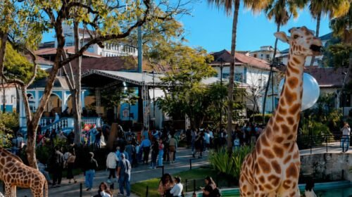 Agenda cultural e esportiva de Mariana: confira os eventos deste fim de semana 