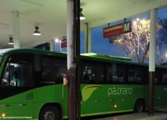 Pássaro Verde responde a denúncias de passageiros sobre qualidade do serviço