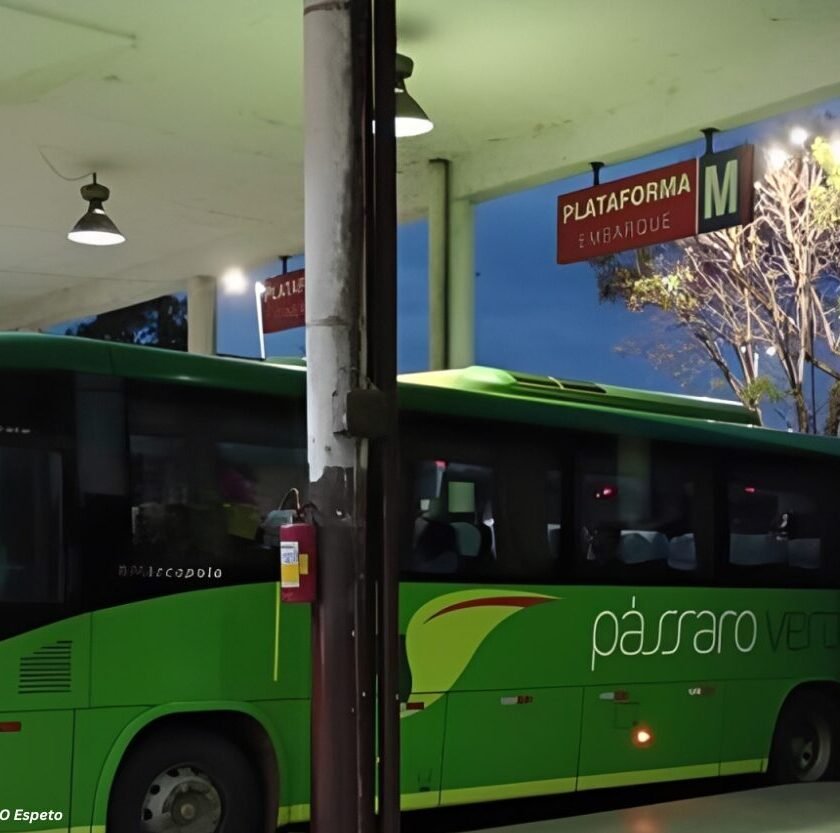 Pássaro Verde responde a denúncias de passageiros sobre qualidade do serviço