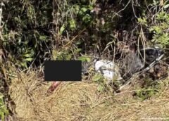 Corpo de homem é encontrado em área de mata em Mariana