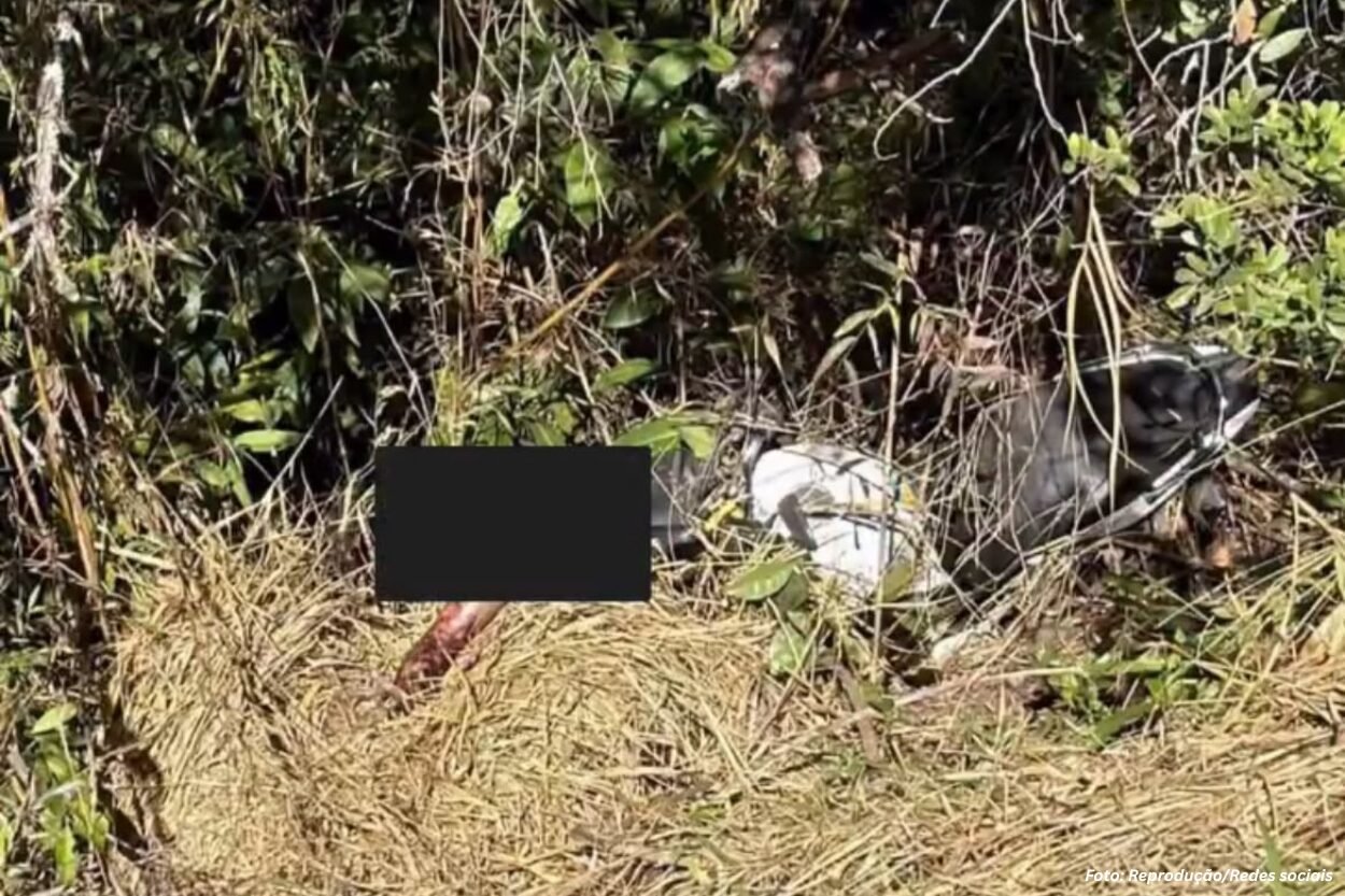 Corpo de homem é encontrado em área de mata em Mariana
