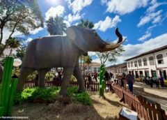 Mariana tem teatro, motociclismo, música, Smart Zoo e atrações infantis nos próximos dias