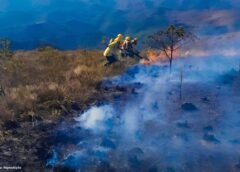 Após prisão de três pessoas por queimadas, Mariana amplia fiscalização ambiental