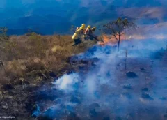 Após prisão de três pessoas por queimadas, Mariana amplia fiscalização ambiental