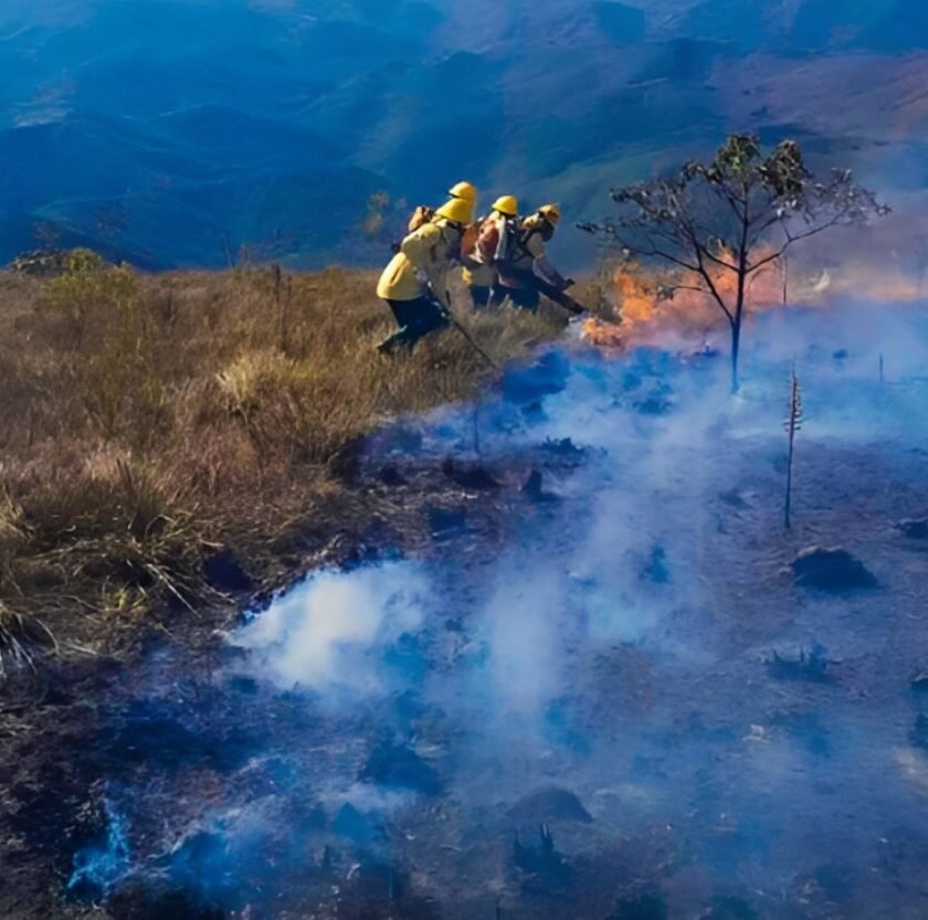Após prisão de três pessoas por queimadas, Mariana amplia fiscalização ambiental