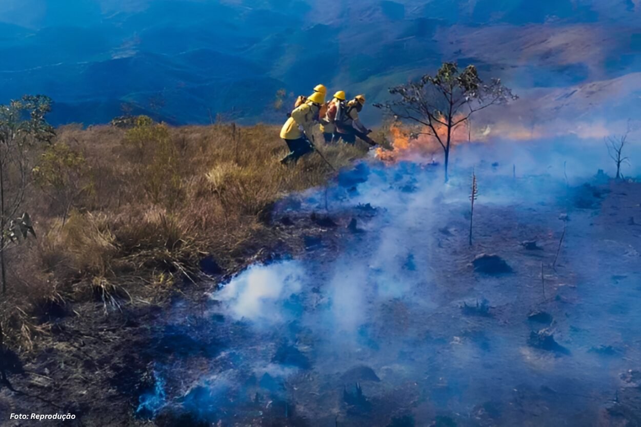 Após prisão de três pessoas por queimadas, Mariana amplia fiscalização ambiental
