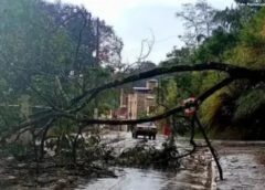 Chuva de granizo causa alagamentos e queda de árvores em Congonhas 