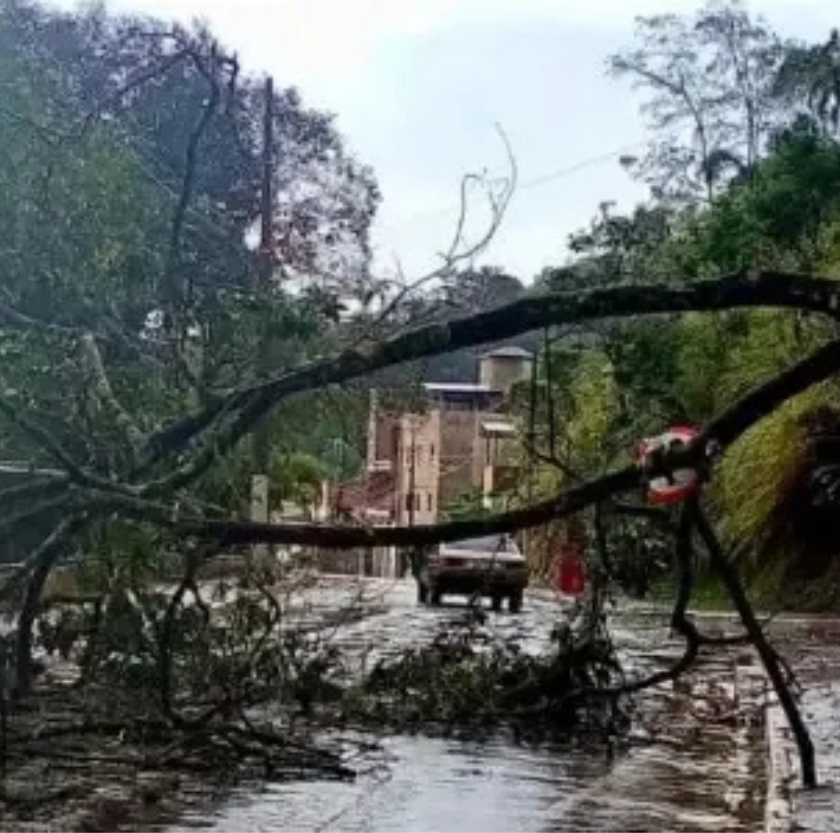 Chuva de granizo causa alagamentos e queda de árvores em Congonhas 