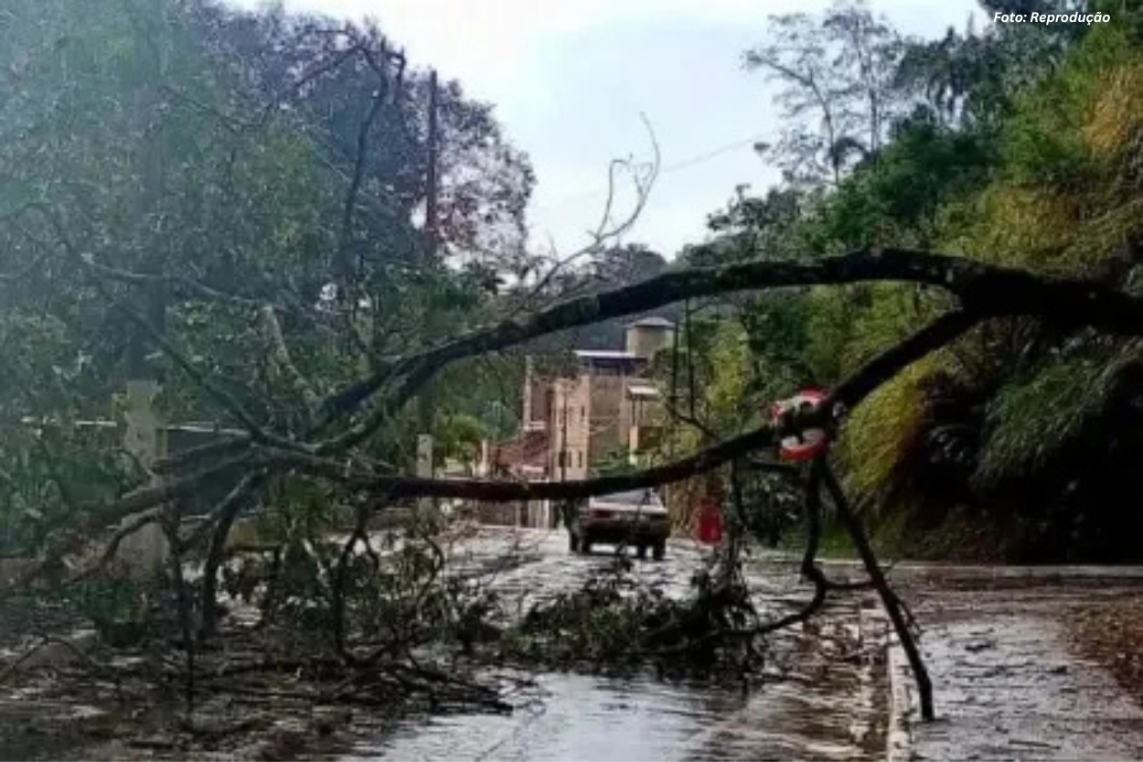 Chuva de granizo causa alagamentos e queda de árvores em Congonhas 