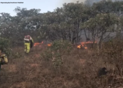 Incêndio de grande porte atinge área de vegetação no bairro Cartucha, em Mariana