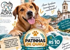 AOPA lança Projeto Patinhas de Ouro para ampliar apoio à proteção animal em Ouro Preto