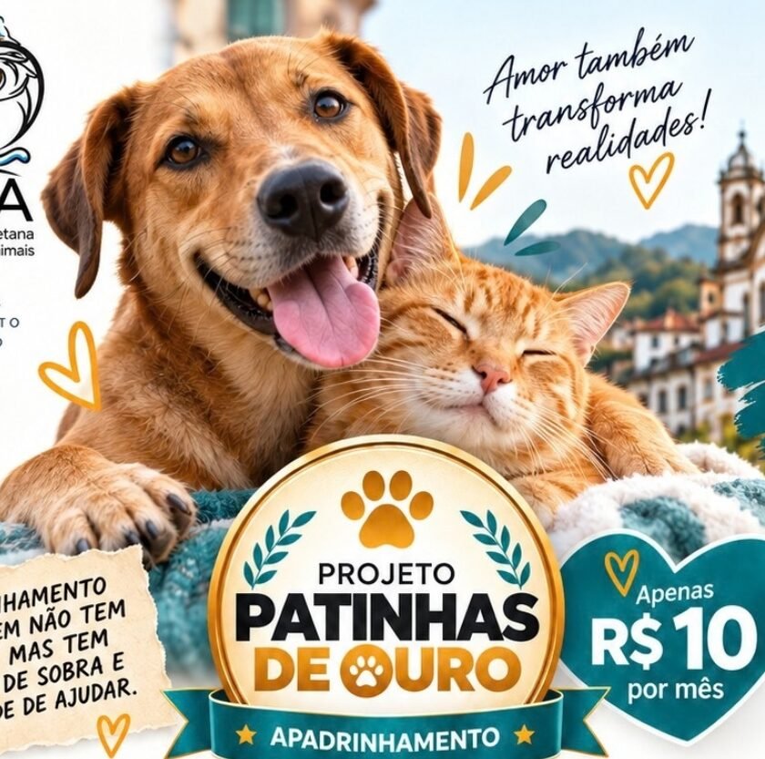AOPA lança Projeto Patinhas de Ouro para ampliar apoio à proteção animal em Ouro Preto