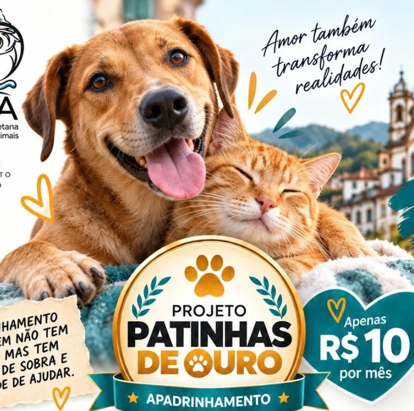 AOPA lança Projeto Patinhas de Ouro para ampliar apoio à proteção animal em Ouro Preto