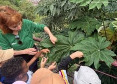 Projeto de educação ambiental de Ouro Preto é referência e amplia atendimento a escolas da região